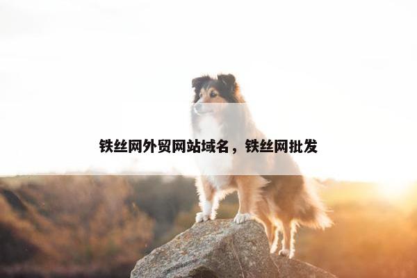 铁丝网外贸网站域名，铁丝网批发