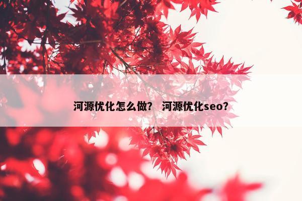 河源优化怎么做？ 河源优化seo？