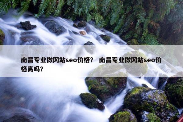 南昌专业做网站seo价格？ 南昌专业做网站seo价格高吗？
