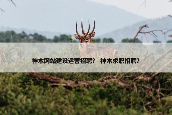神木网站建设运营招聘？ 神木求职招聘？