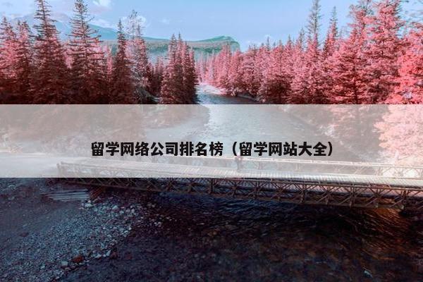 留学网络公司排名榜（留学网站大全）