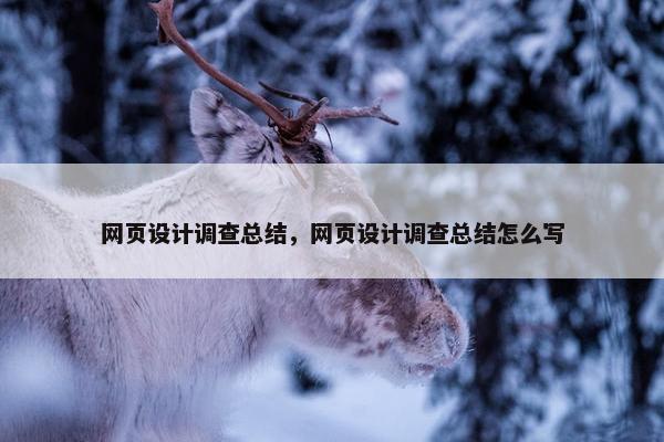 网页设计调查总结，网页设计调查总结怎么写