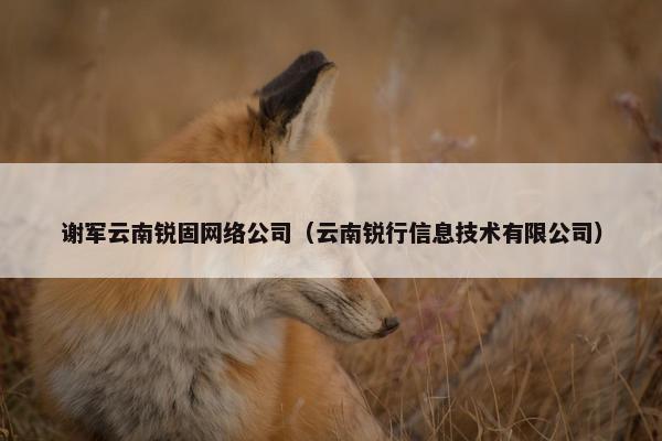 谢军云南锐固网络公司（云南锐行信息技术有限公司）