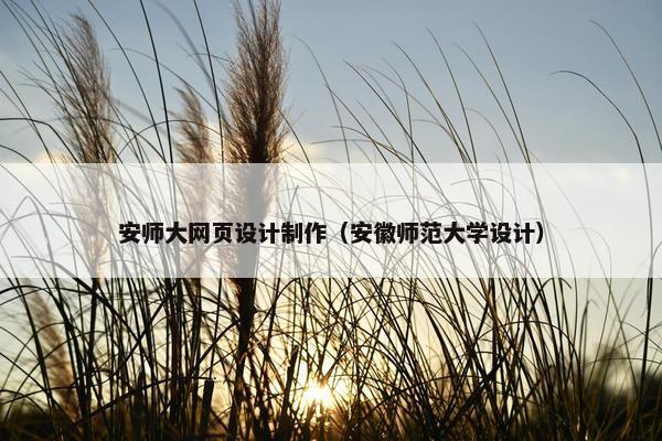 安师大网页设计制作（安徽师范大学设计）