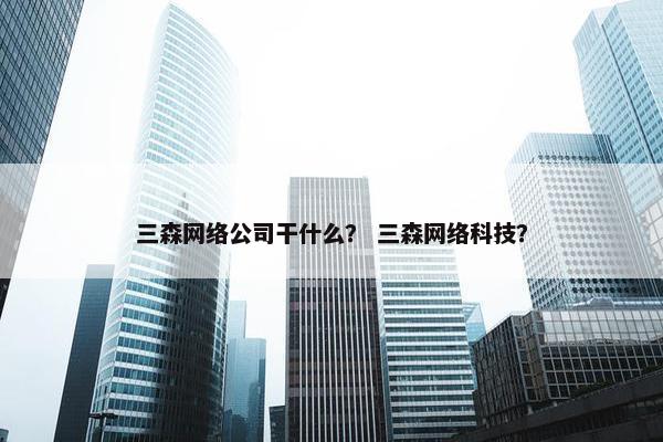 三森网络公司干什么？ 三森网络科技？