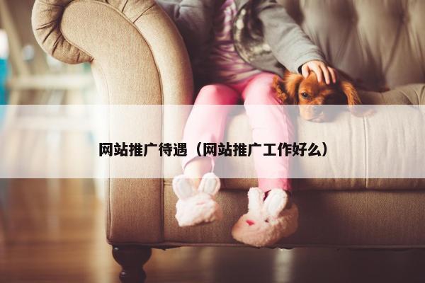 网站推广待遇（网站推广工作好么）