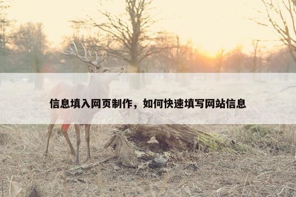 信息填入网页制作，如何快速填写网站信息