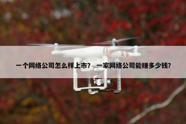 一个网络公司怎么样上市？ 一家网络公司能赚多少钱？