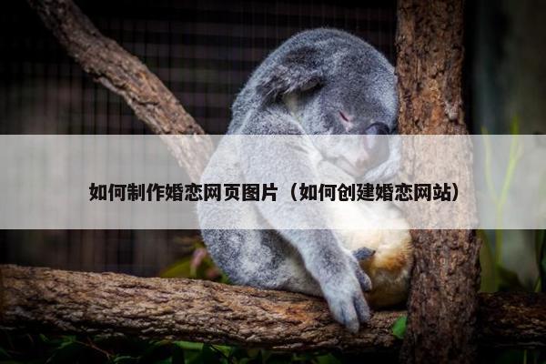 如何制作婚恋网页图片（如何创建婚恋网站）