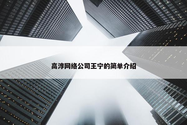高淳网络公司王宁的简单介绍