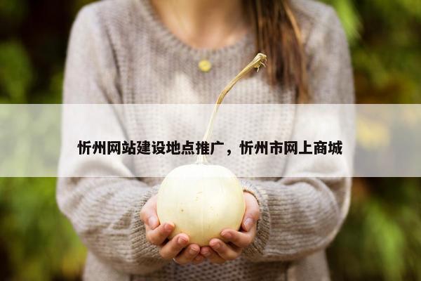 忻州网站建设地点推广，忻州市网上商城