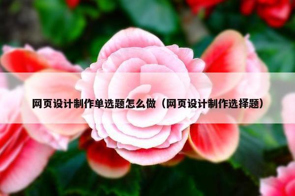 网页设计制作单选题怎么做（网页设计制作选择题）