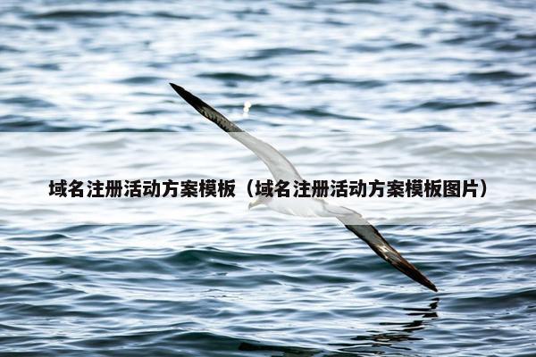 域名注册活动方案模板（域名注册活动方案模板图片）