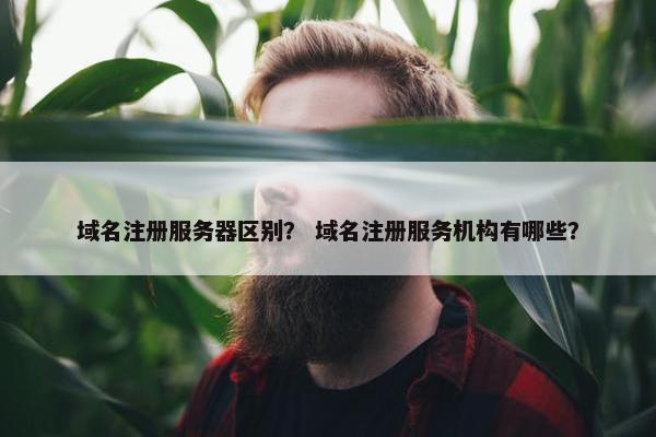 域名注册服务器区别？ 域名注册服务机构有哪些？