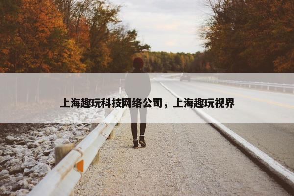 上海趣玩科技网络公司，上海趣玩视界