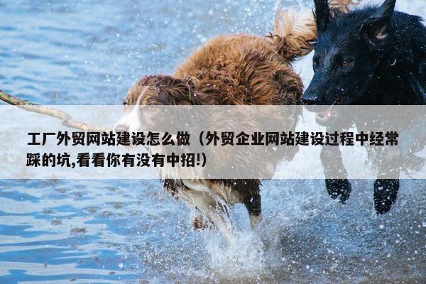 工厂外贸网站建设怎么做（外贸企业网站建设过程中经常踩的坑,看看你有没有中招!）