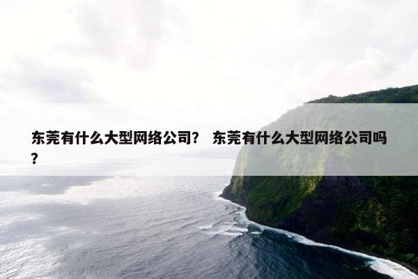 东莞有什么大型网络公司？ 东莞有什么大型网络公司吗？