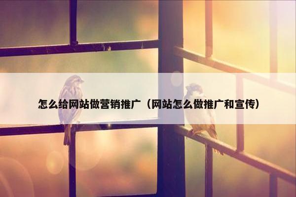 怎么给网站做营销推广（网站怎么做推广和宣传）