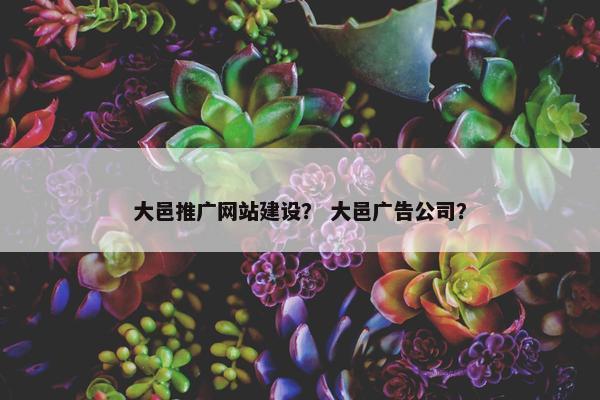 大邑推广网站建设？ 大邑广告公司？