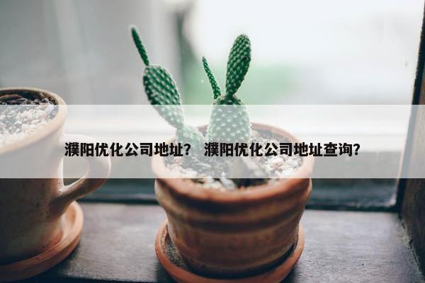 濮阳优化公司地址？ 濮阳优化公司地址查询？