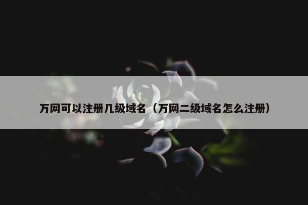 万网可以注册几级域名（万网二级域名怎么注册）