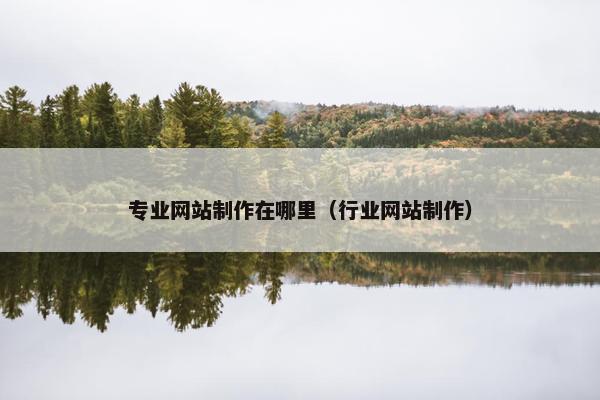 专业网站制作在哪里（行业网站制作）