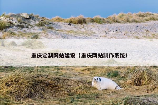 重庆定制网站建设（重庆网站制作系统）