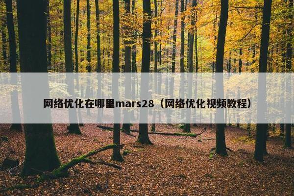 网络优化在哪里mars28（网络优化视频教程）