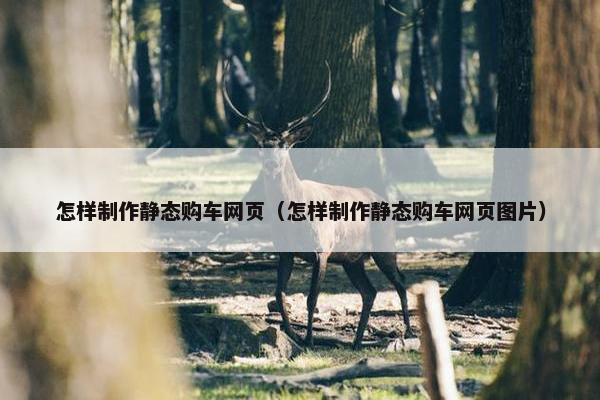 怎样制作静态购车网页（怎样制作静态购车网页图片）