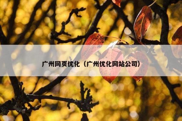 广州网页优化（广州优化网站公司）