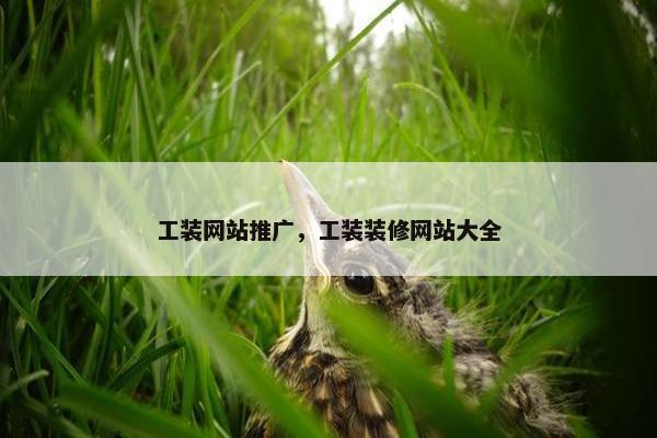 工装网站推广，工装装修网站大全