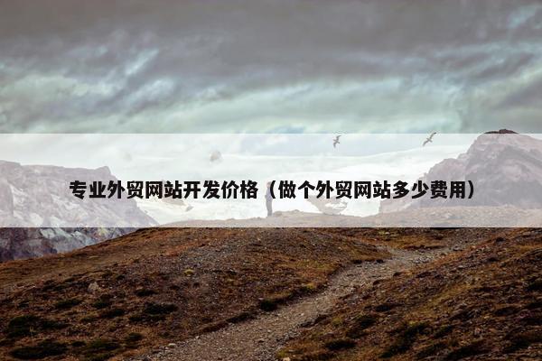 专业外贸网站开发价格（做个外贸网站多少费用）