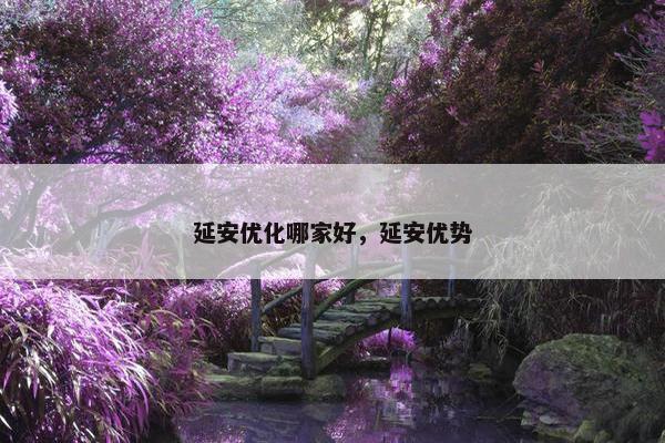 延安优化哪家好，延安优势