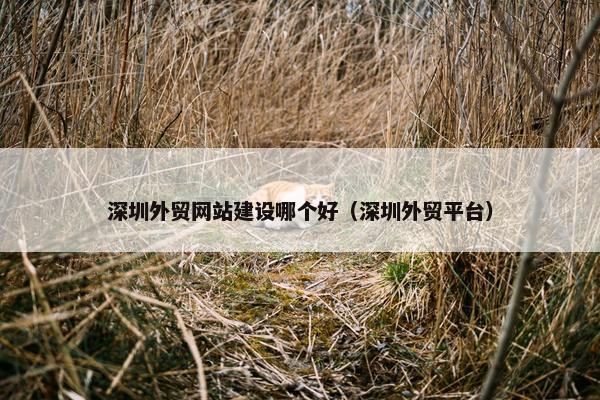 深圳外贸网站建设哪个好（深圳外贸平台）