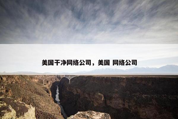 美国干净网络公司，美国 网络公司