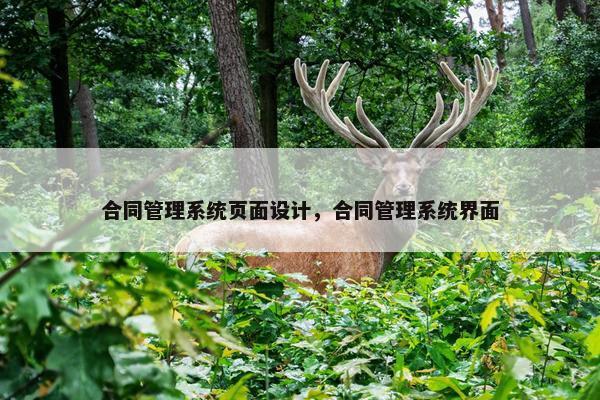 合同管理系统页面设计，合同管理系统界面