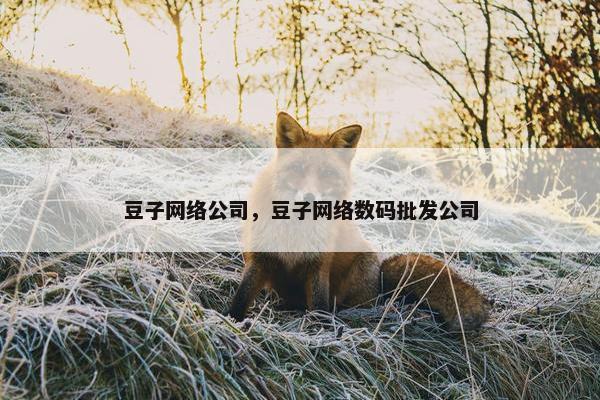 豆子网络公司，豆子网络数码批发公司