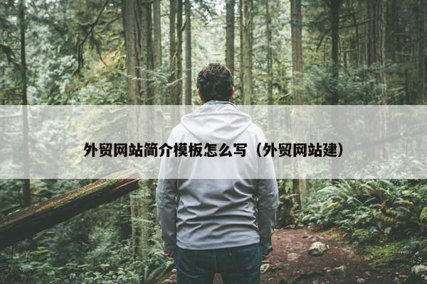 外贸网站简介模板怎么写（外贸网站建）