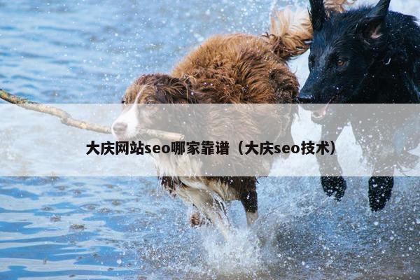 大庆网站seo哪家靠谱（大庆seo技术）