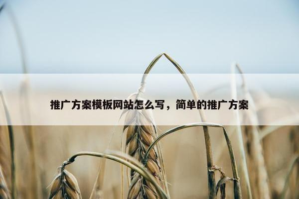 推广方案模板网站怎么写，简单的推广方案