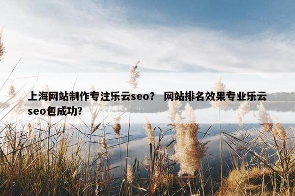 上海网站制作专注乐云seo？ 网站排名效果专业乐云seo包成功？