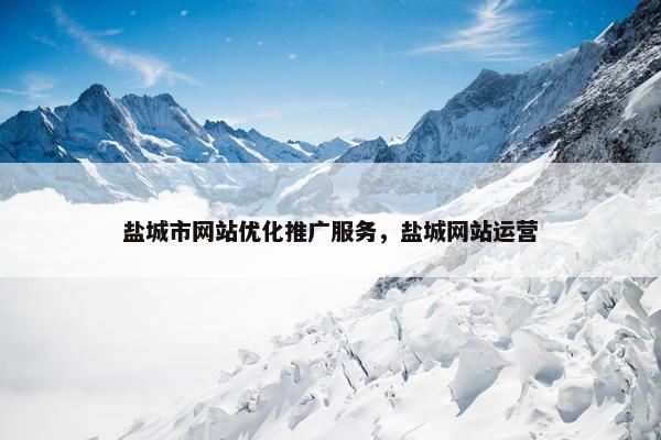 盐城市网站优化推广服务，盐城网站运营