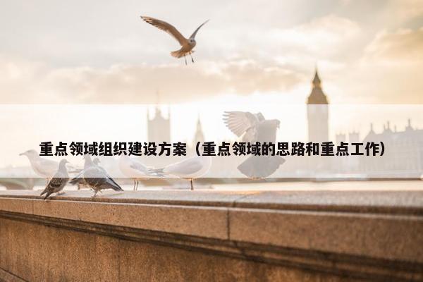 重点领域组织建设方案（重点领域的思路和重点工作）