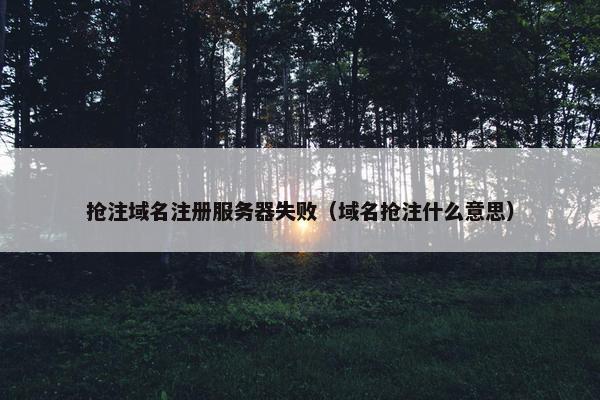 抢注域名注册服务器失败（域名抢注什么意思）