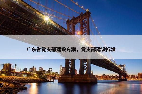 广东省党支部建设方案，党支部建设标准
