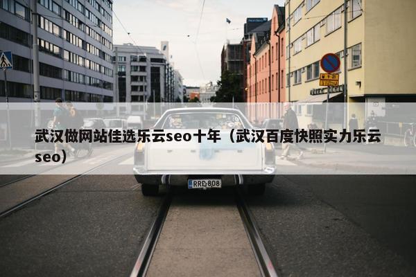 武汉做网站佳选乐云seo十年（武汉百度快照实力乐云seo）
