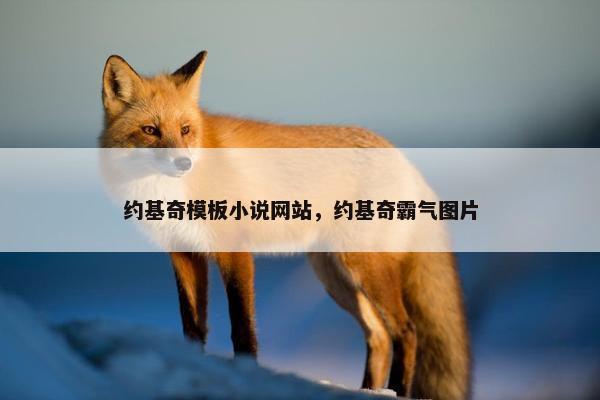 约基奇模板小说网站，约基奇霸气图片