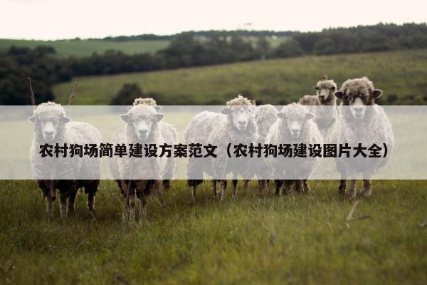 农村狗场简单建设方案范文（农村狗场建设图片大全）