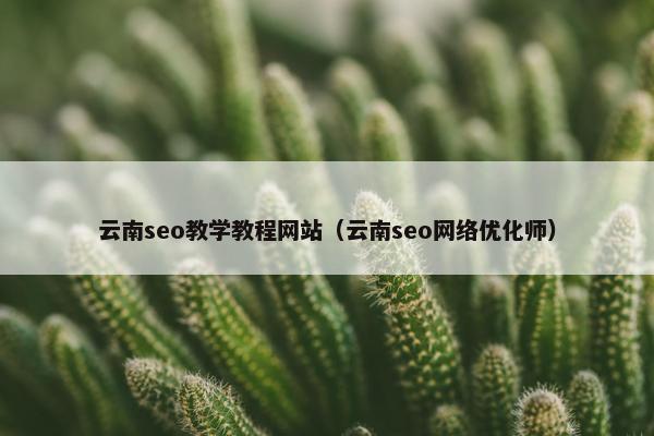 云南seo教学教程网站（云南seo网络优化师）