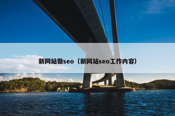 新网站做seo（新网站seo工作内容）